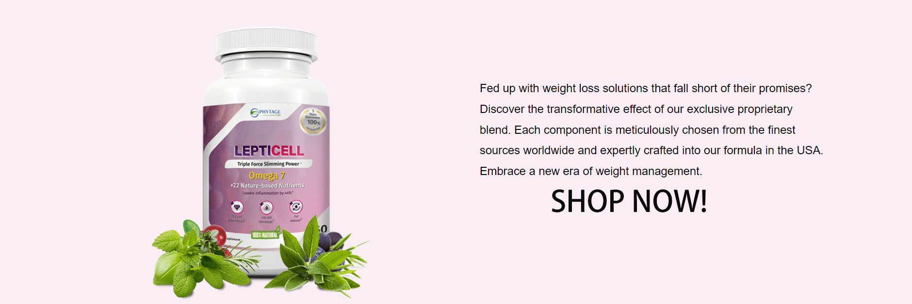 Sports Supplement Store -Sports Supplement Store WSAF